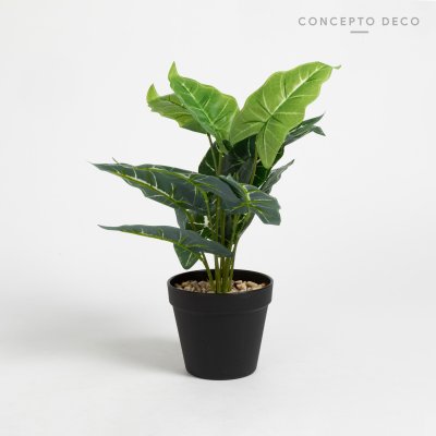 PLANTA ARTIFICIAL CON MACETA ALOCASIA 32CM