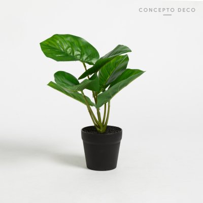 PLANTA ARTIFICIAL CON MACETA FILONDRENO 17CM