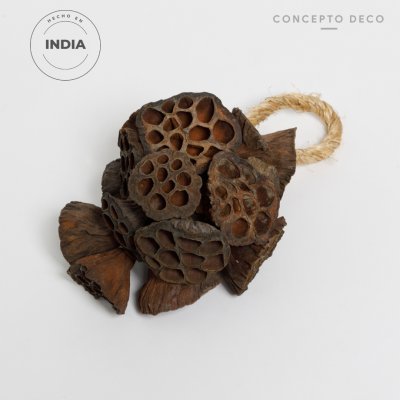 FLORES SECAS COLGANTE LOTO NATURAL 26CM