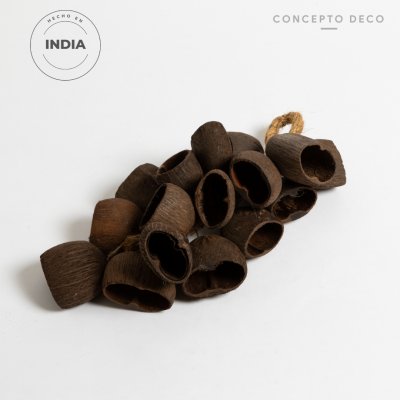 FLORES SECAS COLGANTE SHELL SHAKER 42CM