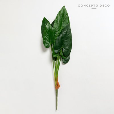 RAMOS HOJAS ARTIFICIAL ALOCASIA CUCULLATA 75CM